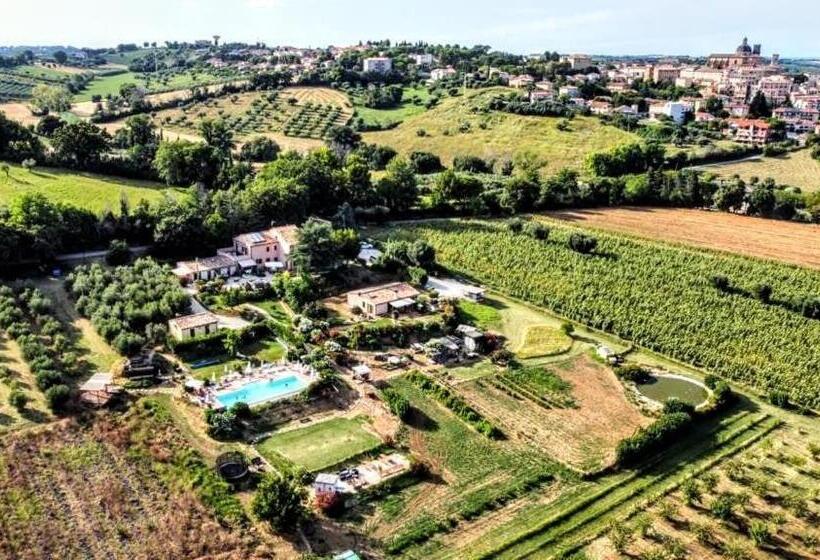 בית מלון כפרי Agriturismo Rosa Antica