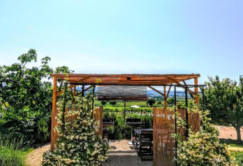 בית מלון כפרי Agriturismo Rosa Antica