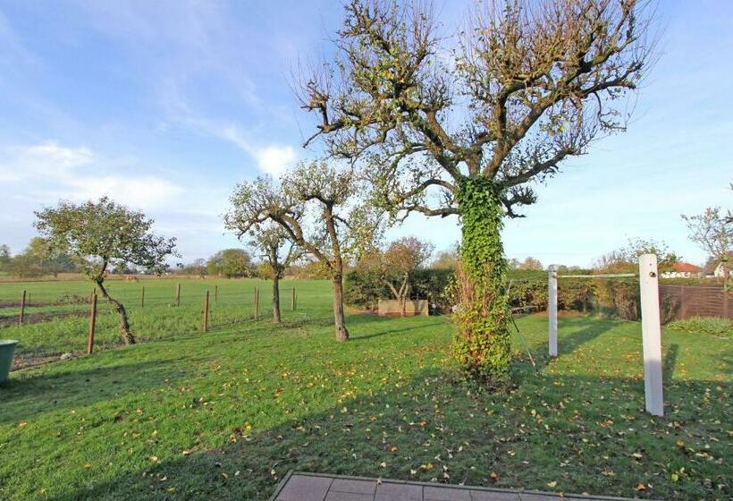 ホテル Ferienhaus Liepgarten Vorp 1001