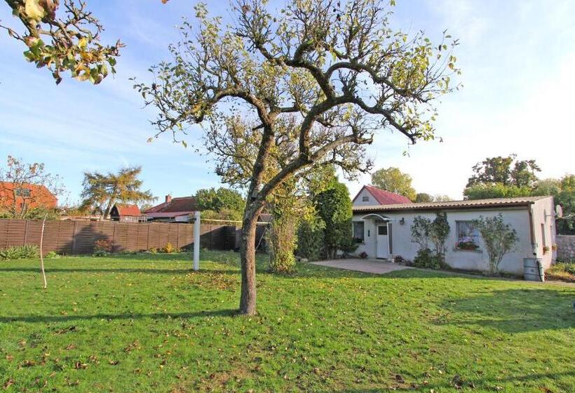 ホテル Ferienhaus Liepgarten Vorp 1001