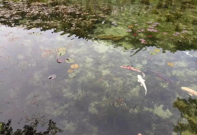 Majatalo Ballarat Clunes