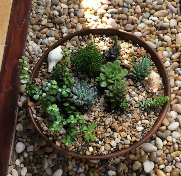 ペンション Casa Das Rendas