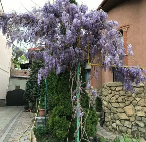 Majatalo Guest House Zhanna