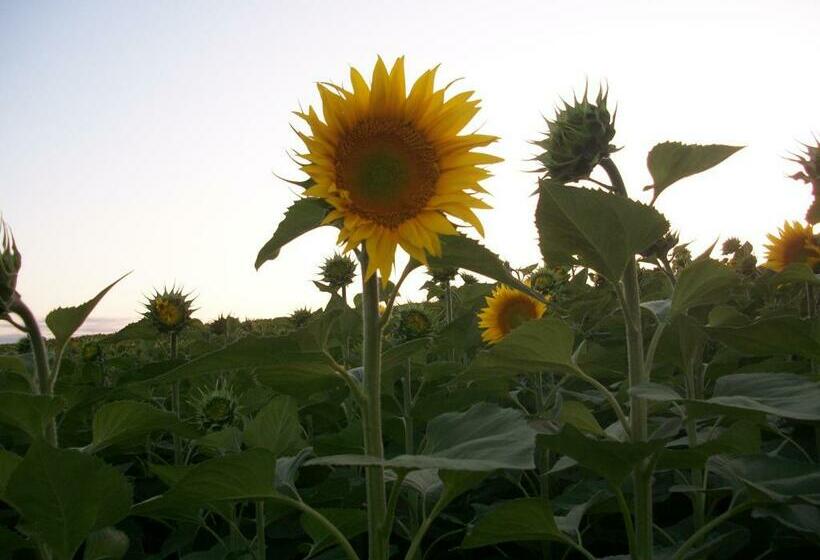 פנסיון Le Pré Joli