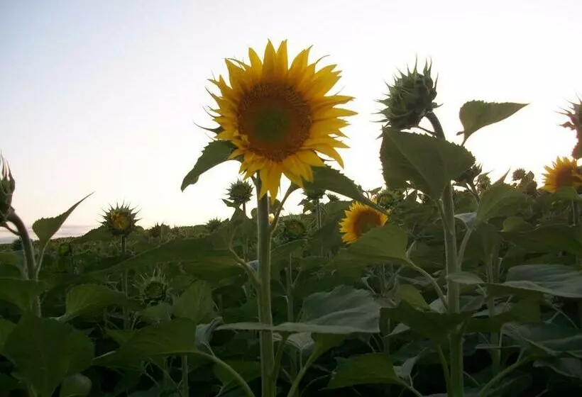 ペンション Le Pré Joli