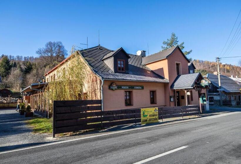 بنسيون Wellness Penzion Stonozka