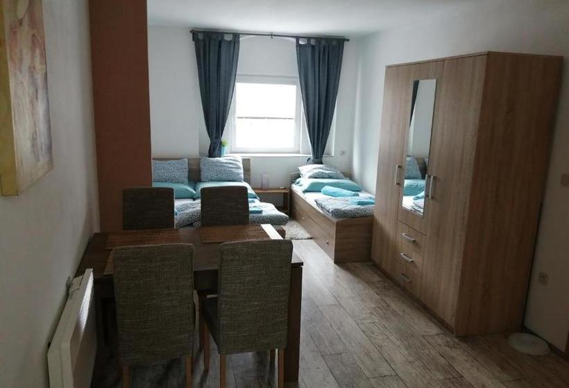 بنسيون Penzion U Formana