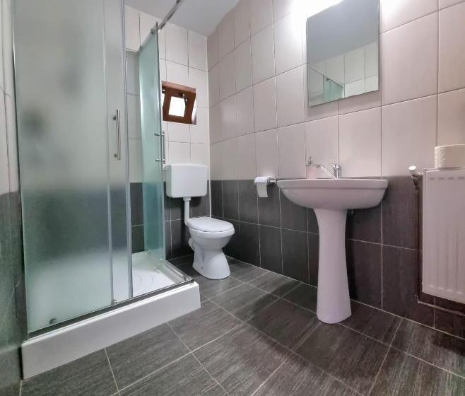 膳宿费 Popasul Găleșean