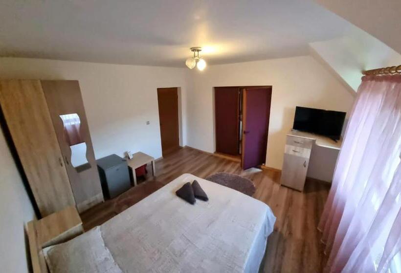 膳宿费 Popasul Găleșean