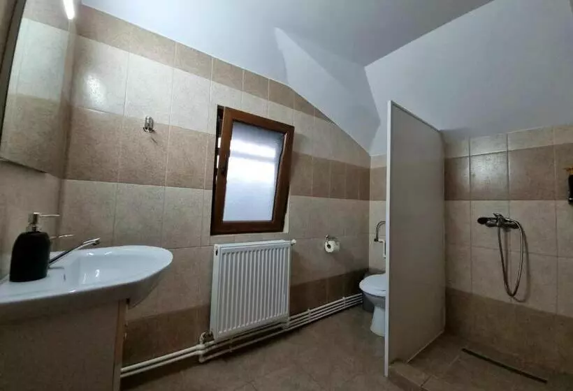 Majatalo Popasul Găleșean