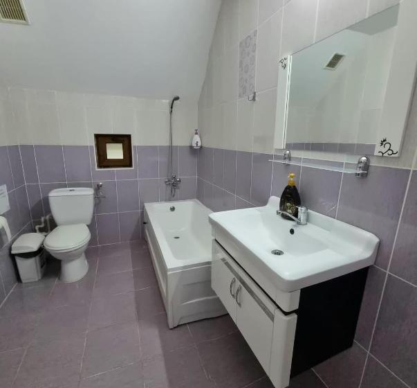 膳宿费 Popasul Găleșean