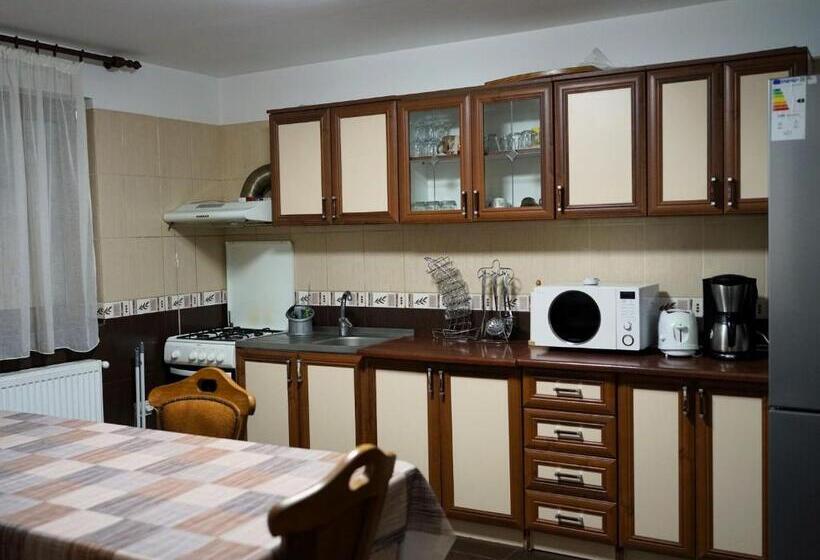 膳宿费 Popasul Găleșean