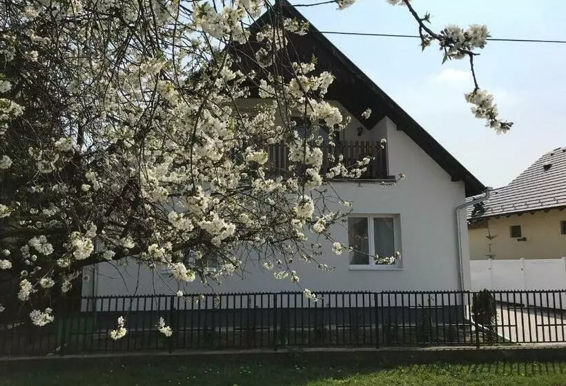 ペンション Szép Napot Vendégház