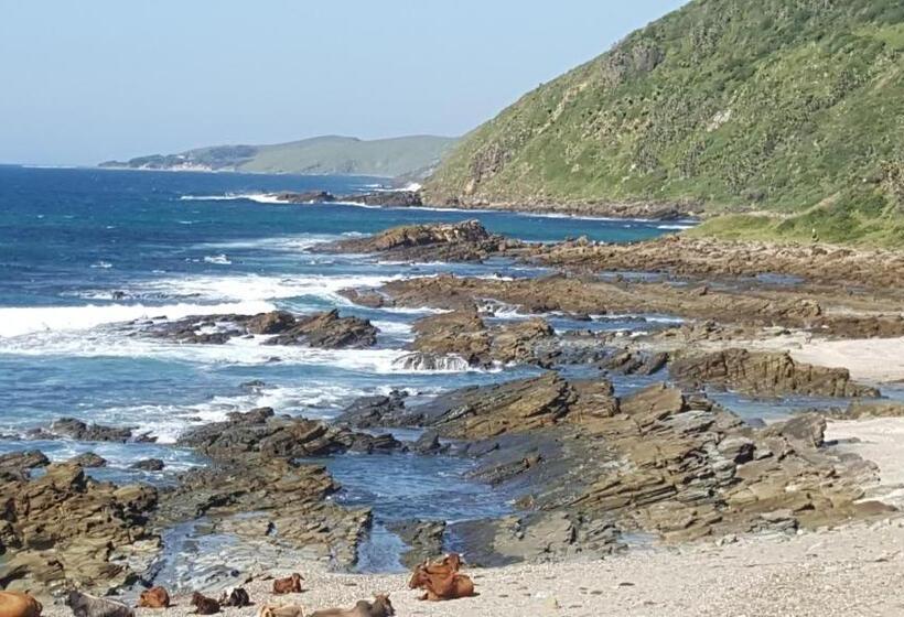 بنسيون Tranquility Psj