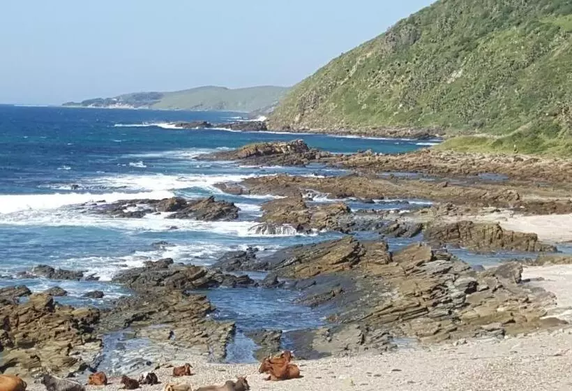 Majatalo Tranquility Psj