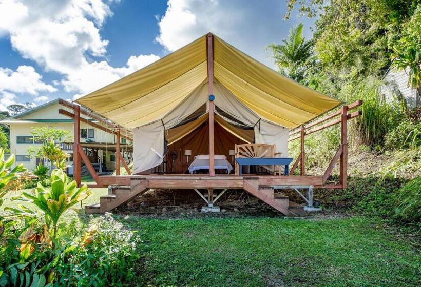 פנסיון Waipi O Lodge