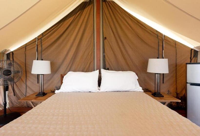 פנסיון Waipi O Lodge