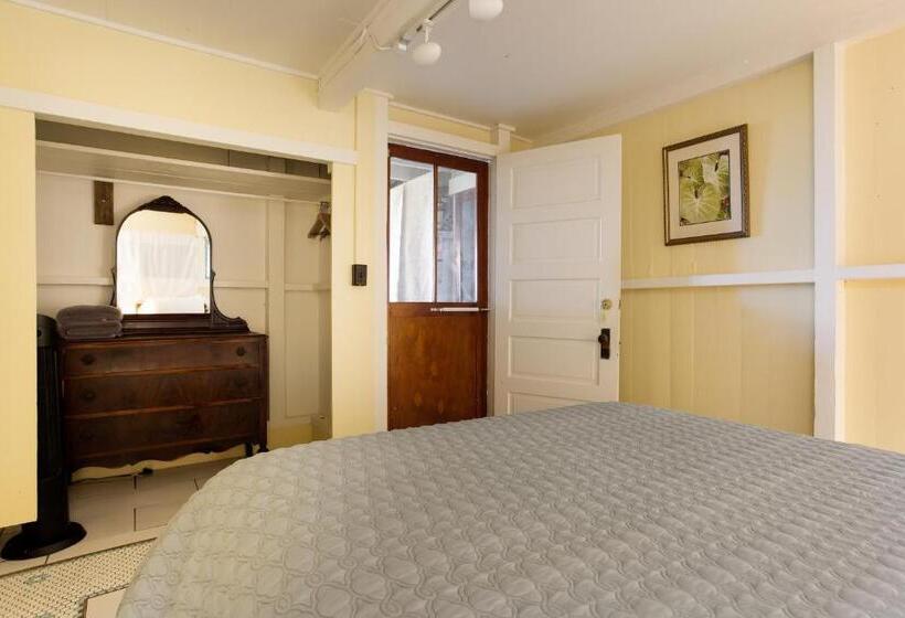 פנסיון Waipi O Lodge