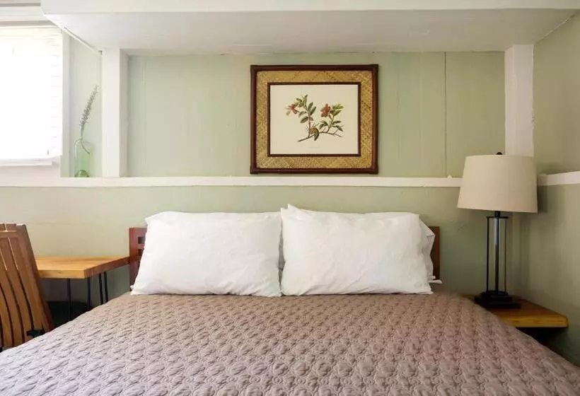 Majatalo Waipi O Lodge