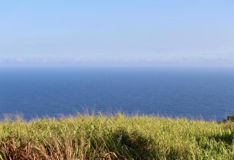 פנסיון Waipi O Lodge