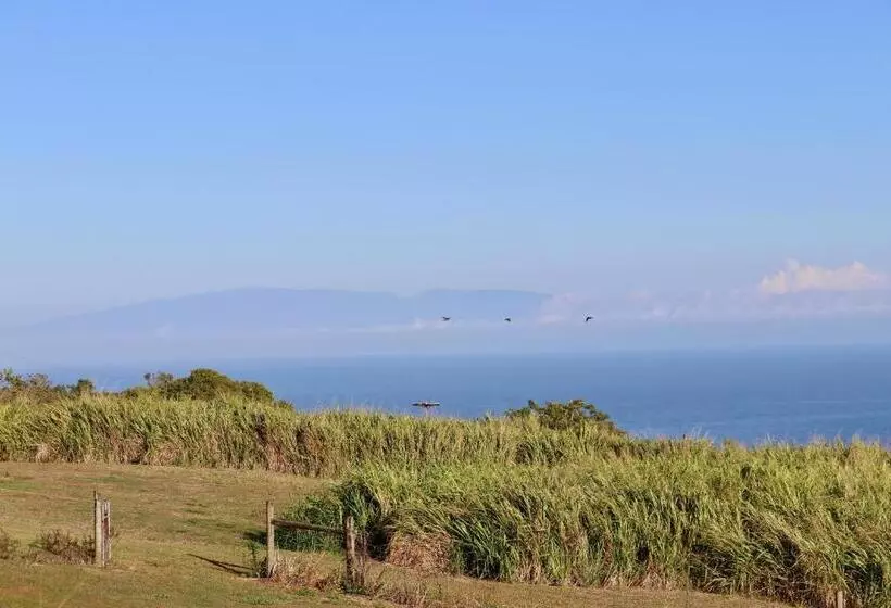Majatalo Waipi O Lodge