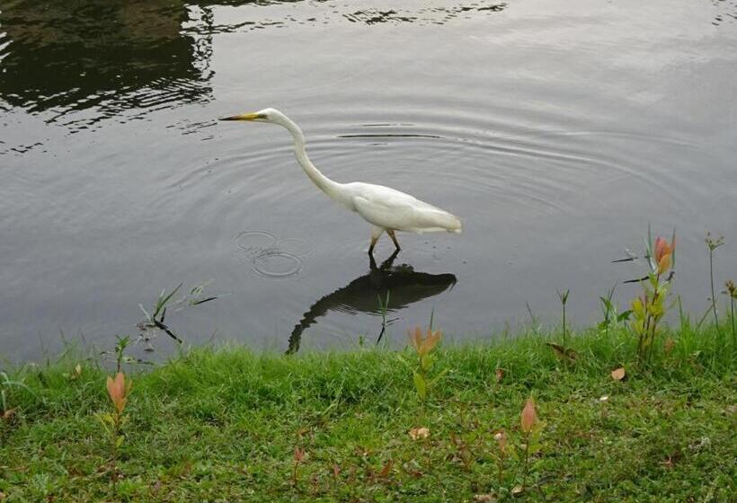 بنسيون Water Park Residencies