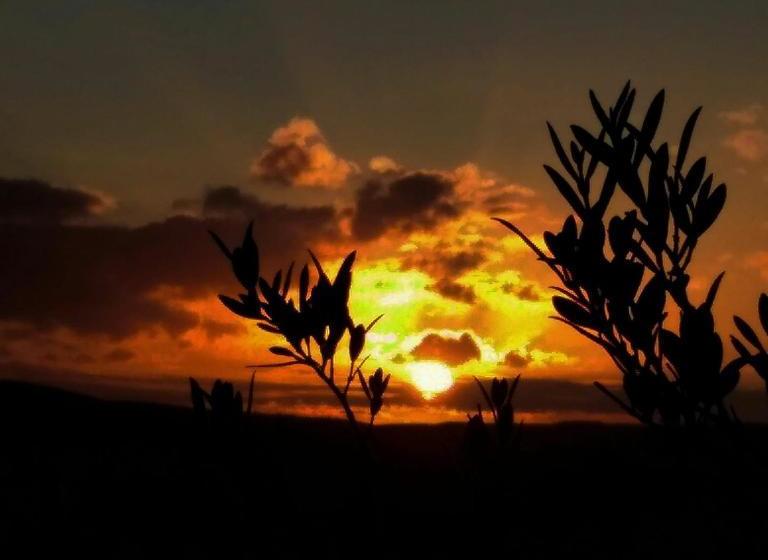 호스텔 El Capricho