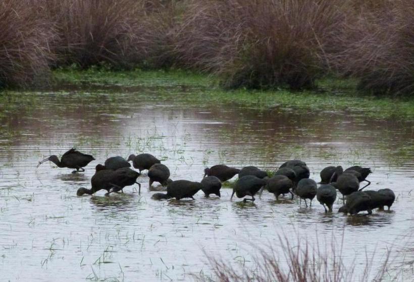 호스텔 El Capricho