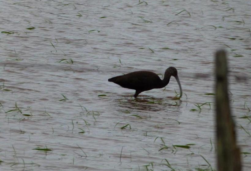 호스텔 El Capricho