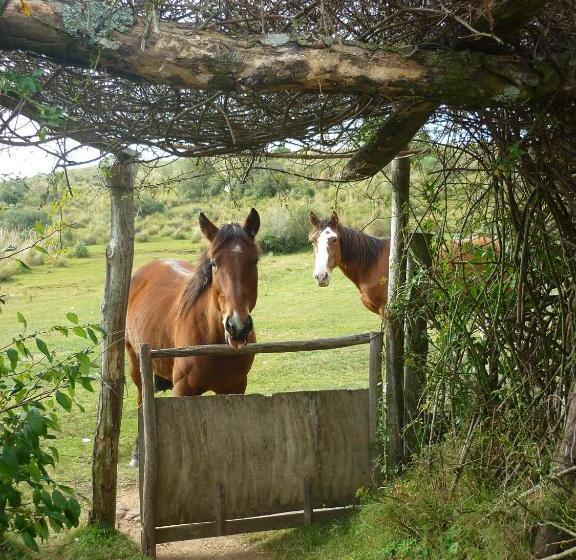 호스텔 El Capricho