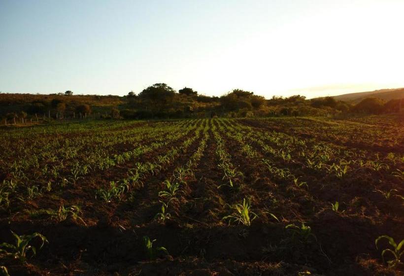 호스텔 El Capricho