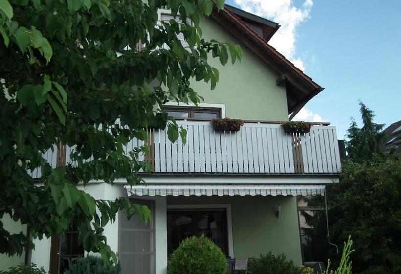 Albergue Gästehof Weinbau Säger