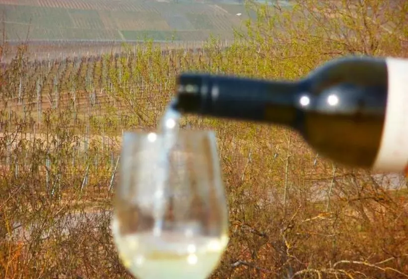 ユースホステル Gästehof Weinbau Säger