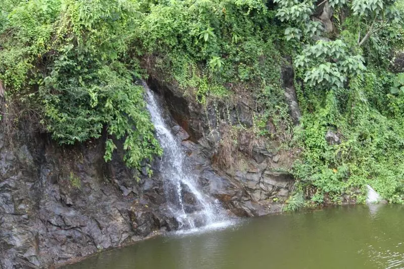 Lomakeskus Athirapally Green Trees