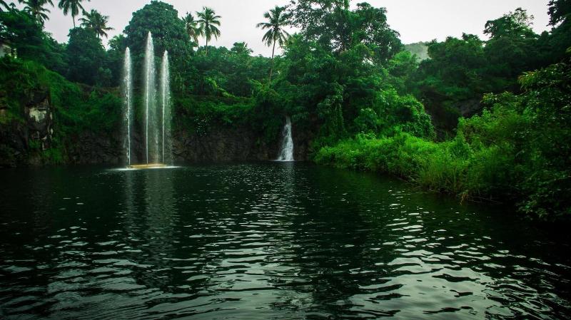 Kurort  Athirapally Green Trees