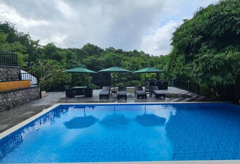 Kurort  Athirapally Green Trees