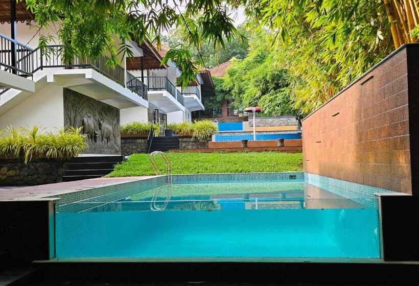 Kurort  Athirapally Green Trees