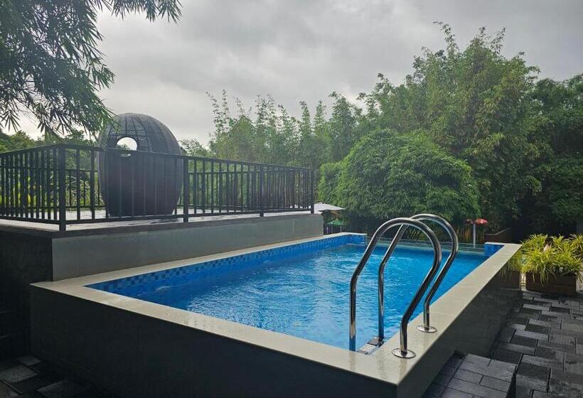 Kurort  Athirapally Green Trees