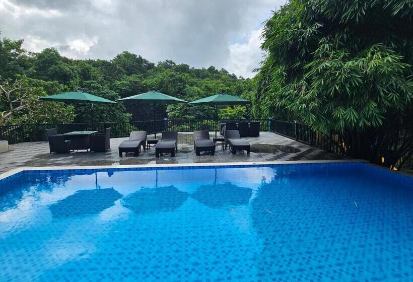 Kurort  Athirapally Green Trees