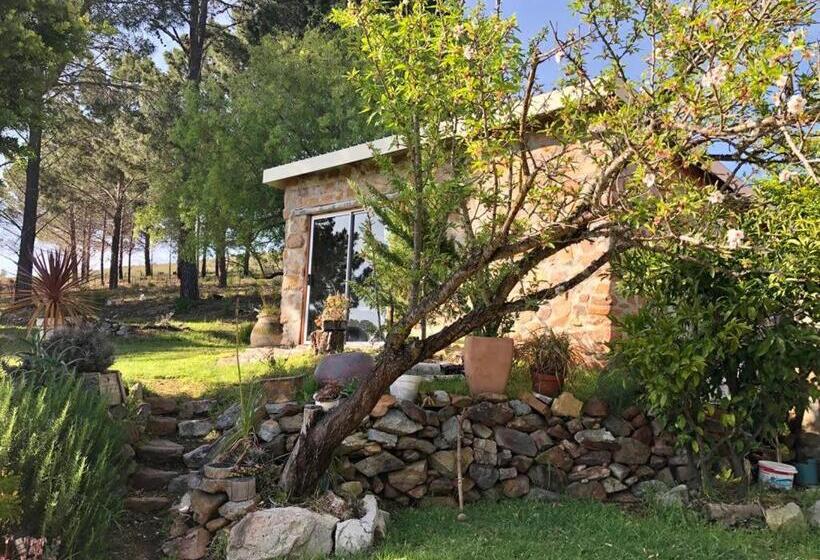 فندق Das Steinhaus