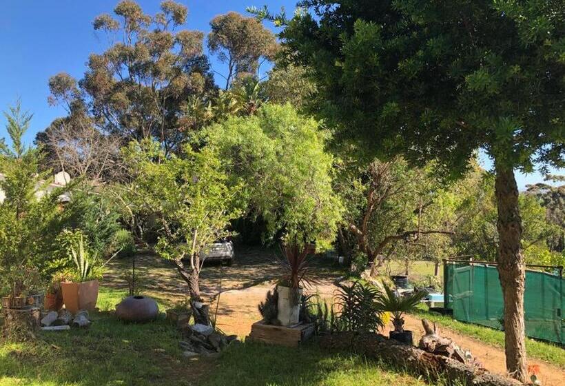 فندق Das Steinhaus