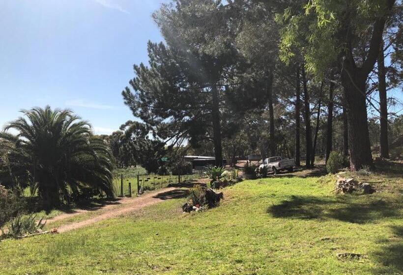 فندق Das Steinhaus