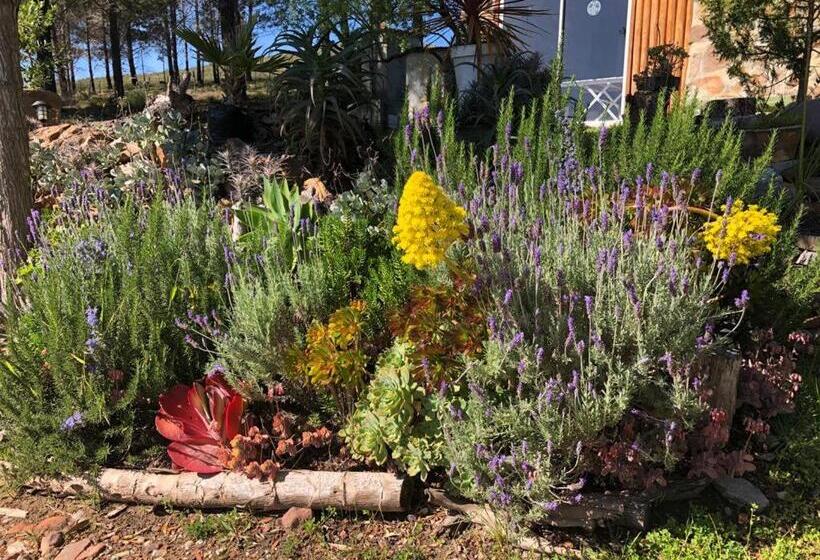 فندق Das Steinhaus