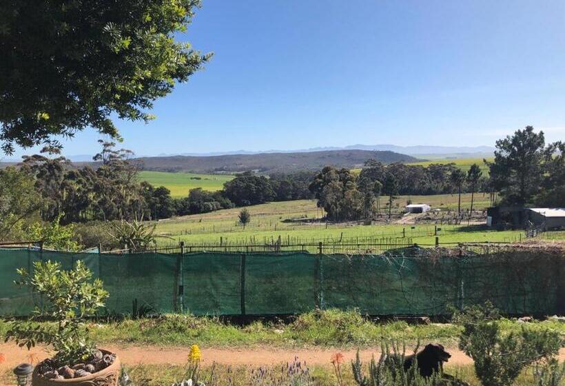 فندق Das Steinhaus