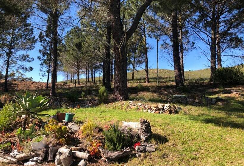 فندق Das Steinhaus