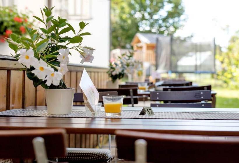 Gasthof Hotel Zum Ochsen Gmbh