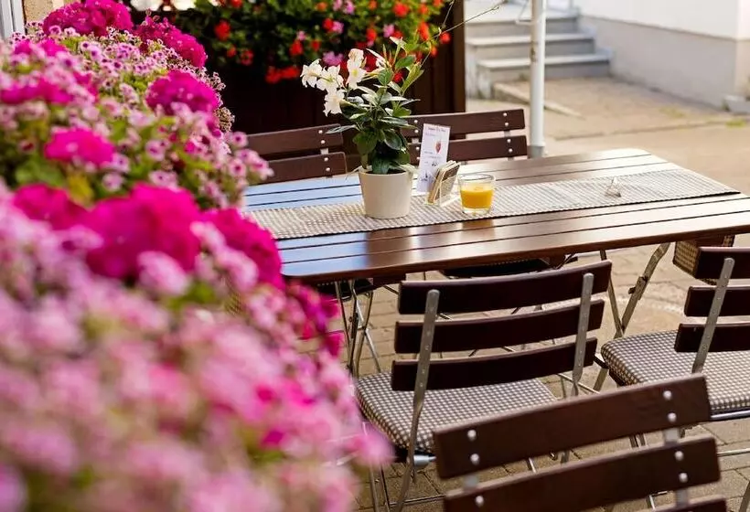 Gasthof   Hotel Zum Ochsen Gmbh