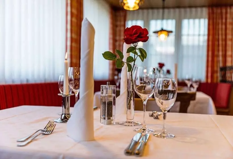 Gasthof   Hotel Zum Ochsen Gmbh