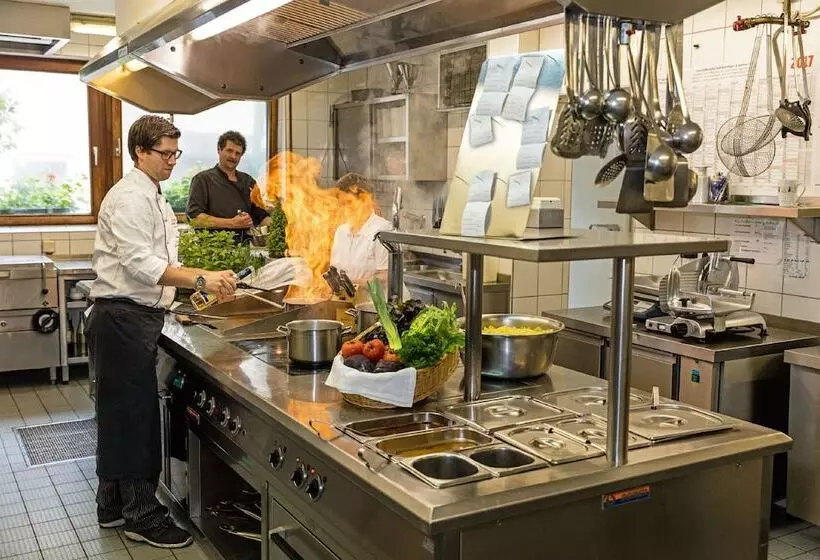 Gasthof   Hotel Zum Ochsen Gmbh