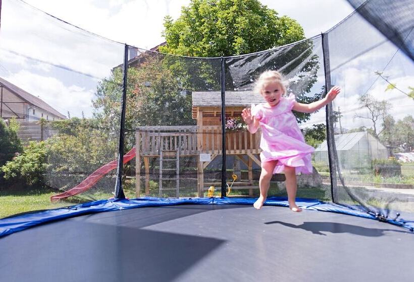 Gasthof Hotel Zum Ochsen Gmbh